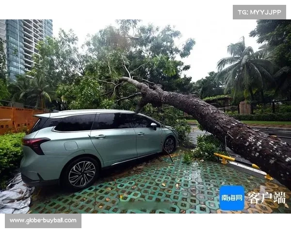 强风预警或将影响博德闪耀长传战术效果与表现