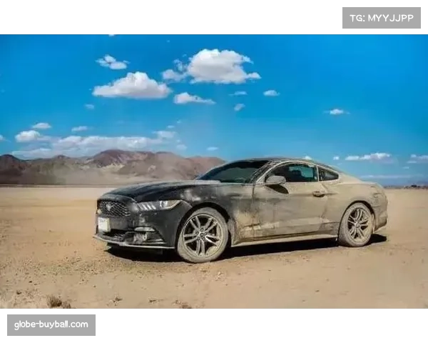 美联西区野马一骑绝尘 领先同区对手至少三场