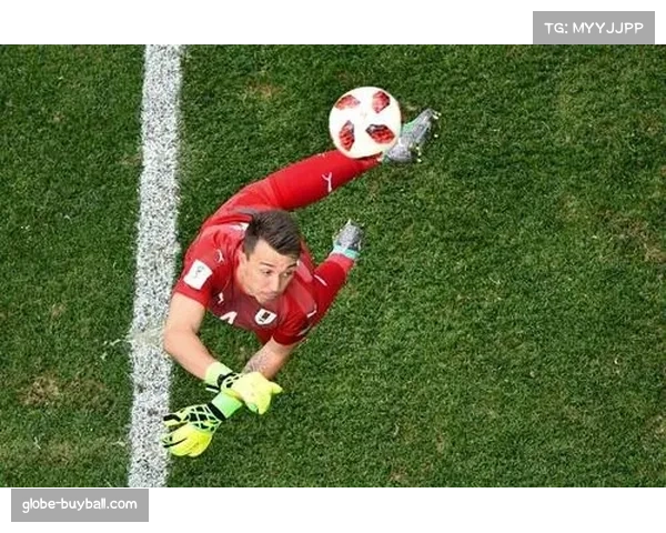 雷恩门将分布球能力 手抛球发动快速反击的成功率 雷恩门将分布球能力 手抛球发动快速反击的成功率